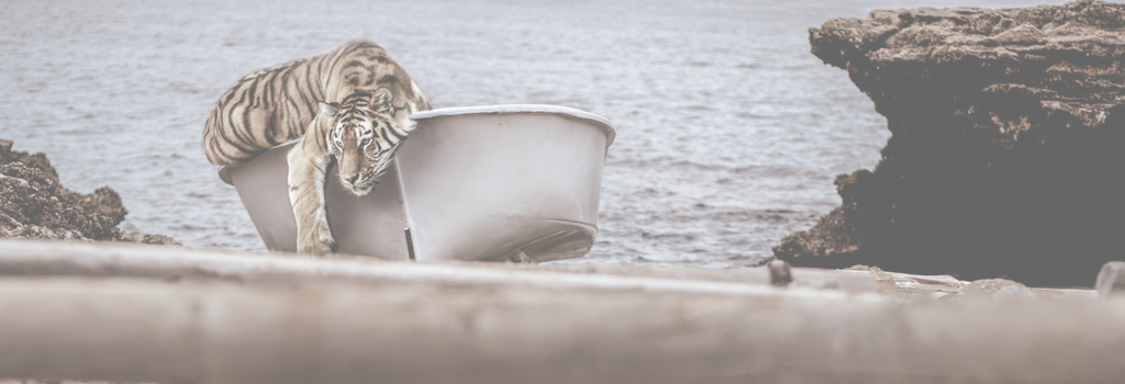 Article banner with a tiger and a boat Life of Pi
