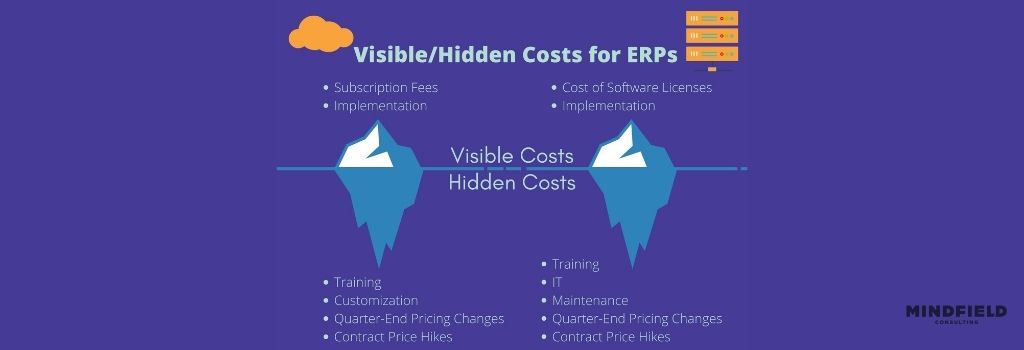 cost of erp infographic ice berg revealing hidden costs