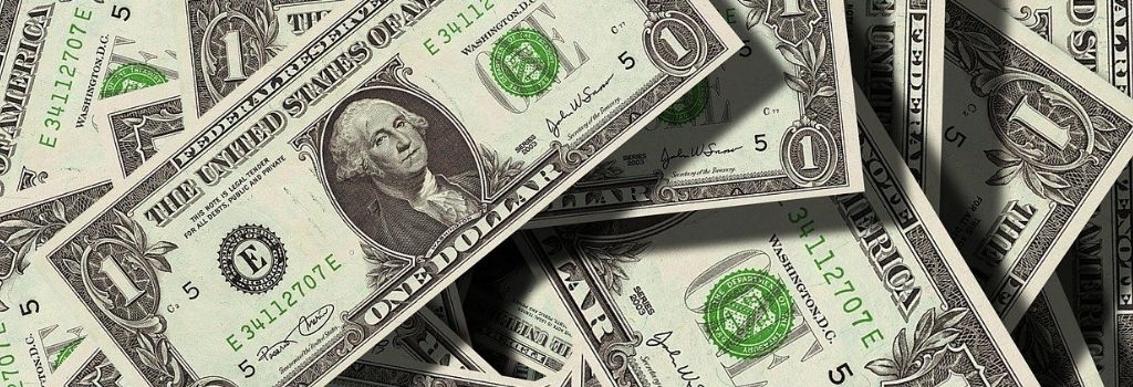 dollar bills for cost of erp article