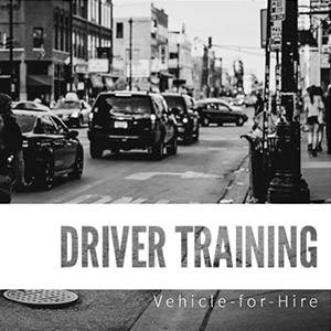 car Articulate Storyline Developer Canada
