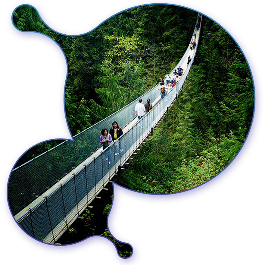 mindfield-consulting-district-of-squamish-Case-Study