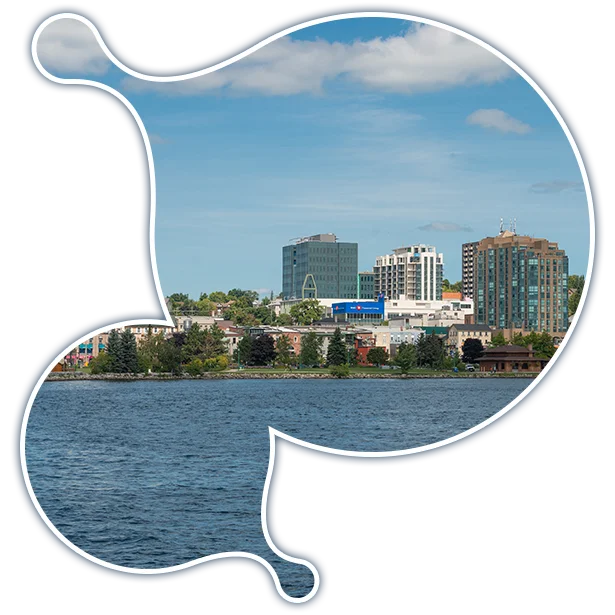 barrie-it-services-fractional-cio-services expert Moodle development services in Barrie
