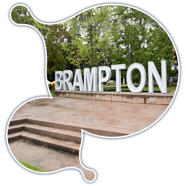 brampton-it-services expert Moodle development services in Brampton