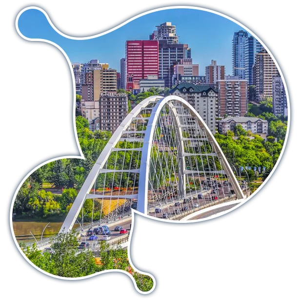 edmonton-it-services-fractional-cio-services expert Moodle development services in Edmonton