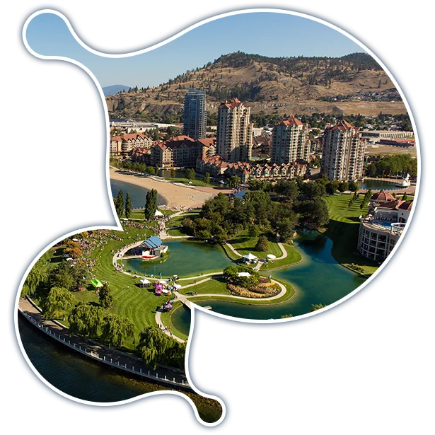 kelowna-it-services-fractional-cio-services expert Moodle development services in Kelowna