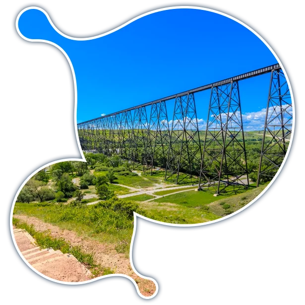 lethbridge-services-fractional-cio-services expert Moodle development services in lethbridge