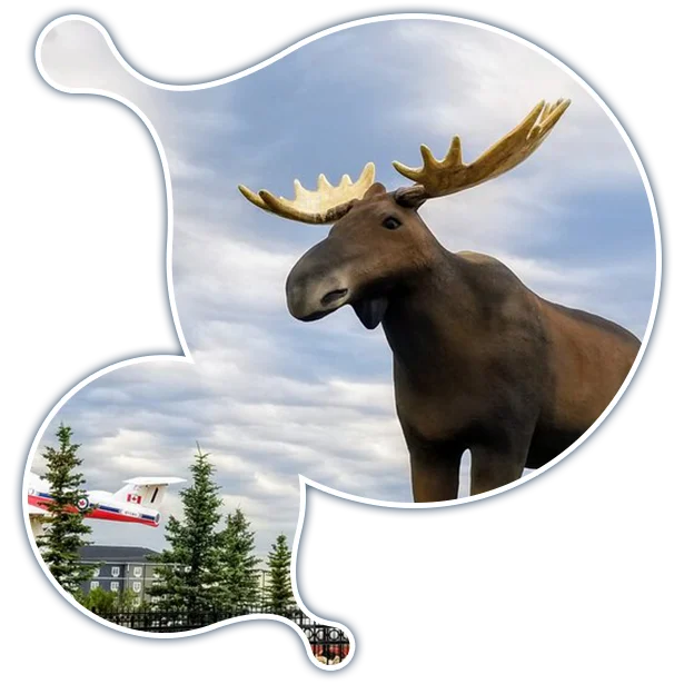 moosejaw-it-services-fractional-cio-services expert Moodle development services in MooseJaw