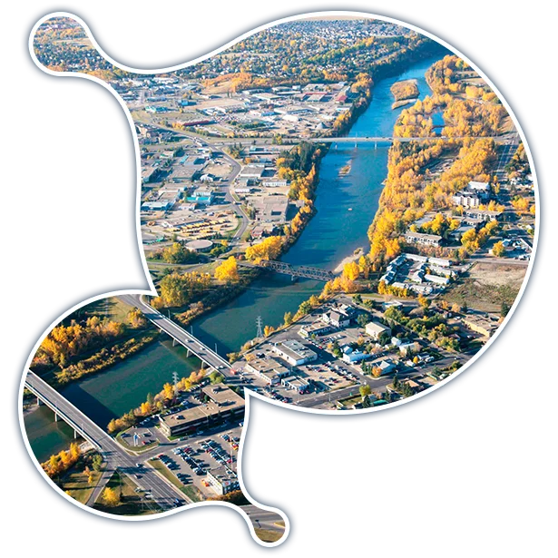red-deer-it-services-fractional-cio-services expert Moodle development services in Red Deer