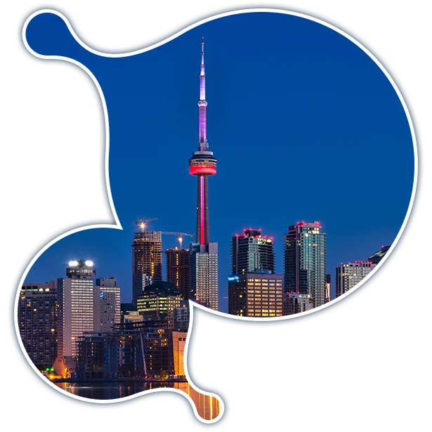 toronto-it-services expert Moodle development services in Toronto