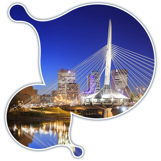 winnipeg-it-services-fractional-cio-services expert Moodle development services in Winnipeg