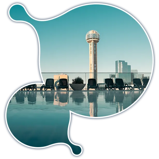 expert-moodle-developer-dallas expert-moodle-developer-dallas